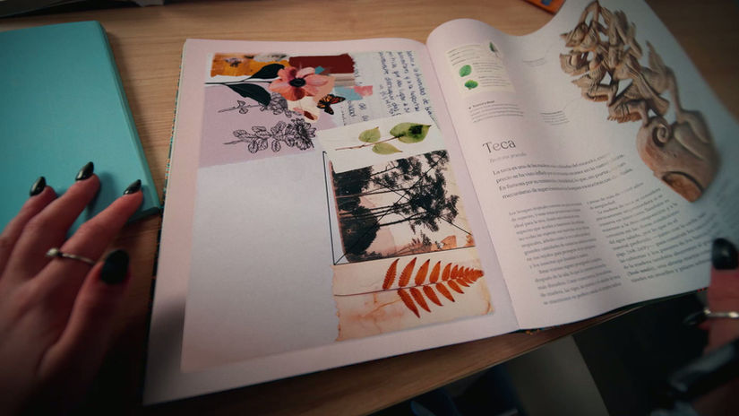 UCU Admisiones 2024 - Comunicación